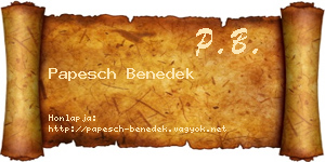 Papesch Benedek névjegykártya